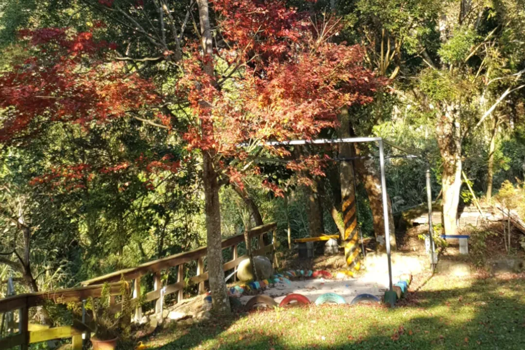 土牧驛健康農莊 | 獨家85折起！頂級原木小木屋、清澈溪流戲水、深山森林浴
