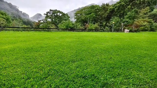 麗德營A區_3