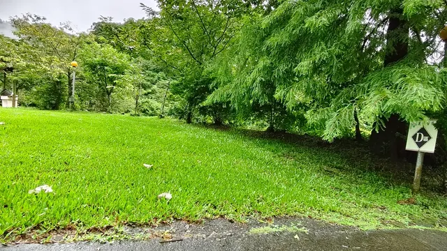 麗德營D區_1