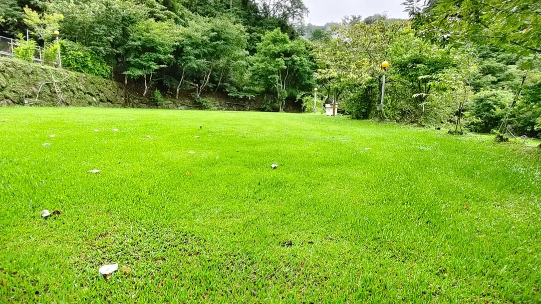 土牧驛健康農莊 | 獨家85折起！頂級原木小木屋、清澈溪流戲水、深山森林浴