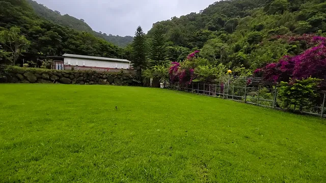 麗G_15