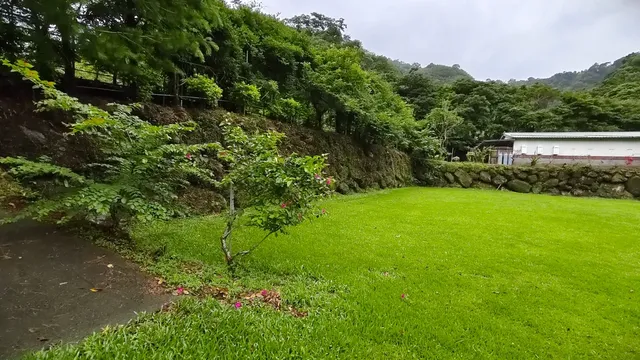 麗G_20