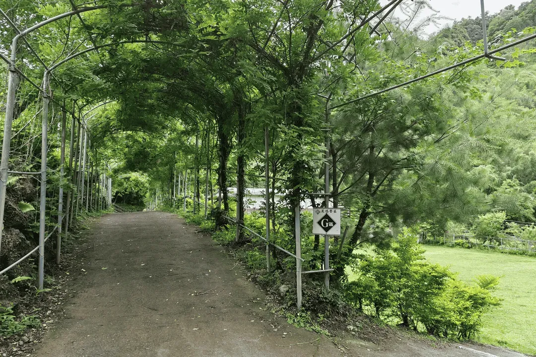 土牧驛健康農莊 | 獨家85折起！頂級原木小木屋、清澈溪流戲水、深山森林浴