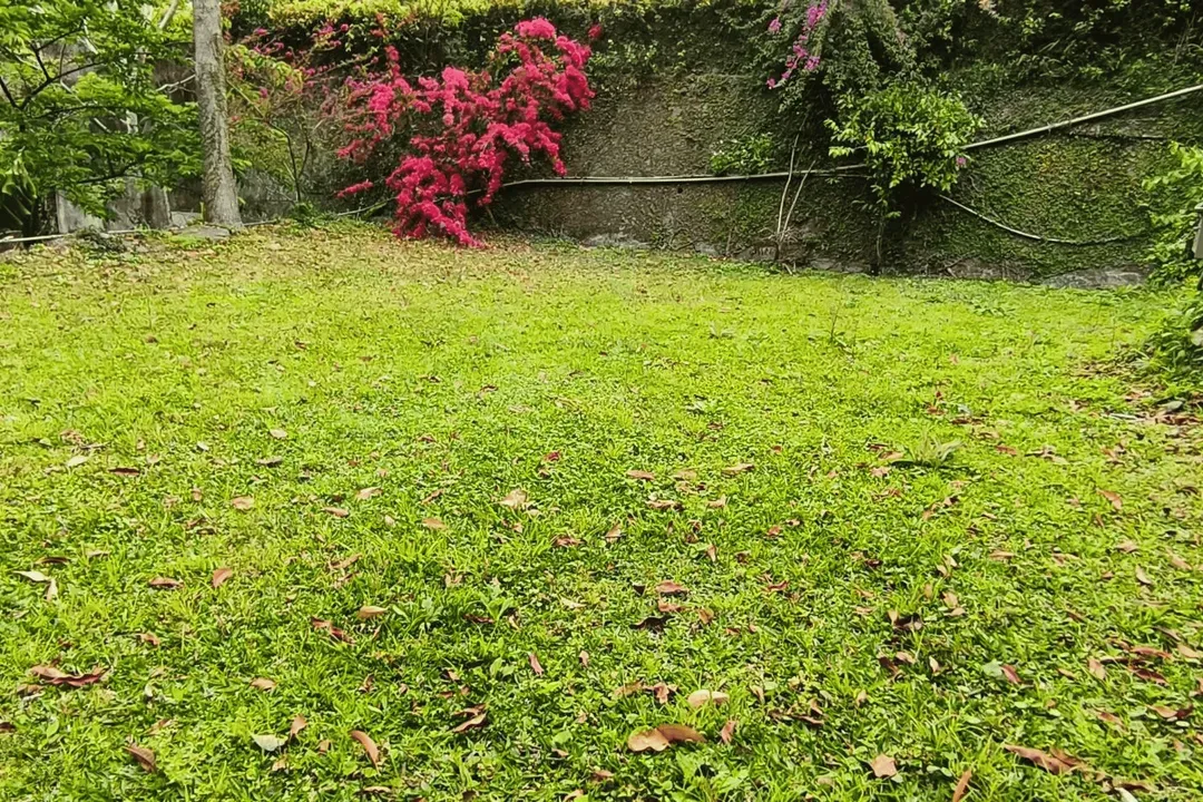 土牧驛健康農莊 | 獨家85折起！頂級原木小木屋、清澈溪流戲水、深山森林浴
