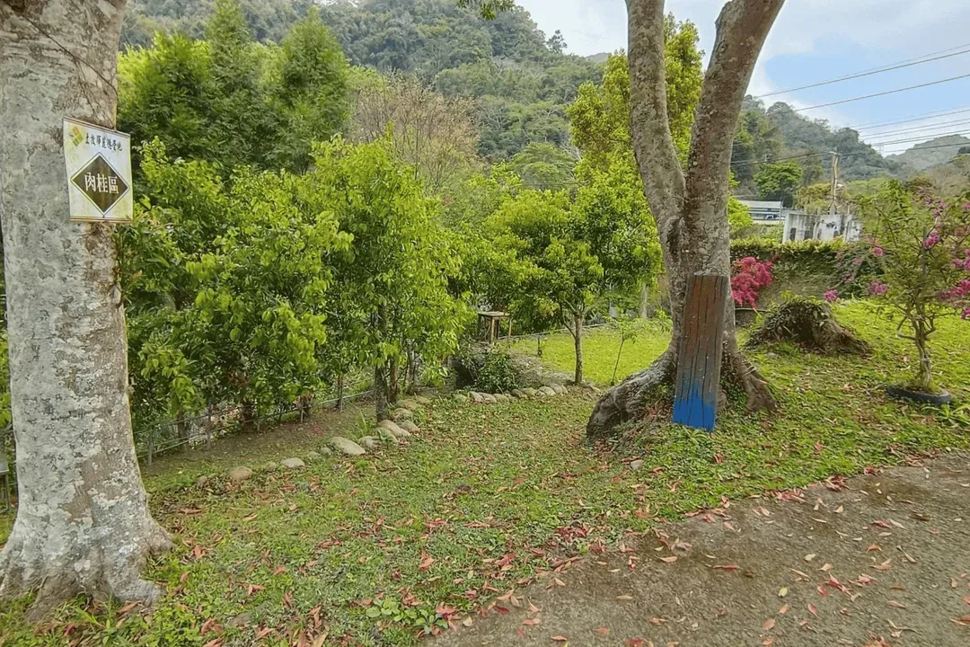 土牧驛健康農莊 | 獨家85折起！頂級原木小木屋、清澈溪流戲水、深山森林浴