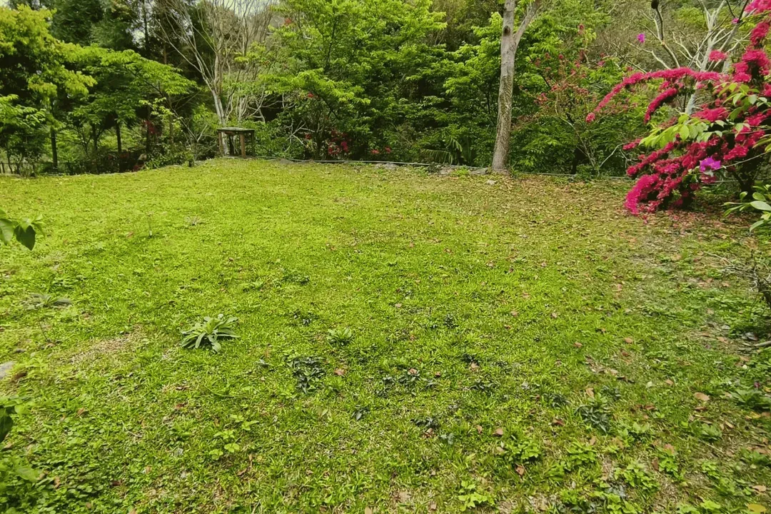 土牧驛健康農莊 | 獨家85折起！頂級原木小木屋、清澈溪流戲水、深山森林浴