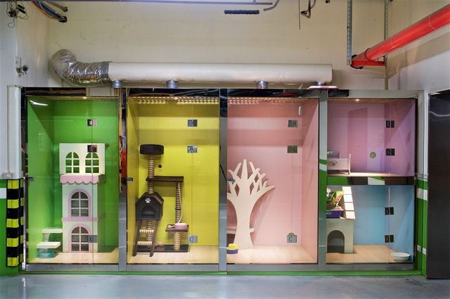 知本金聯世紀酒店 l 知本溫泉-【BF】和風客房-3