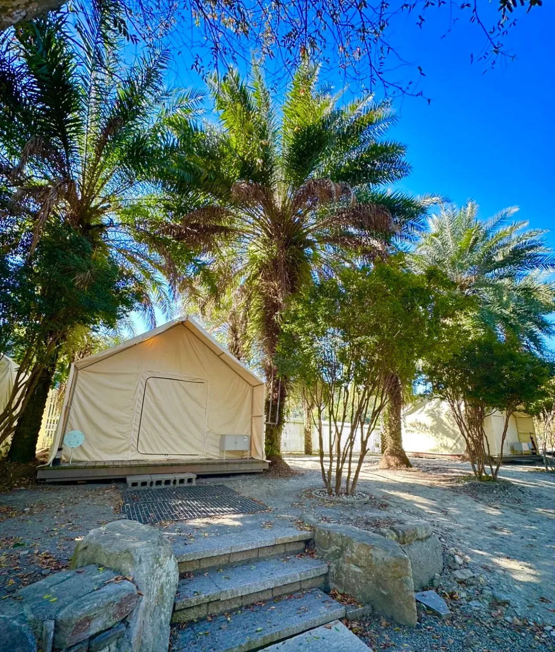 YCC Forest Campsite