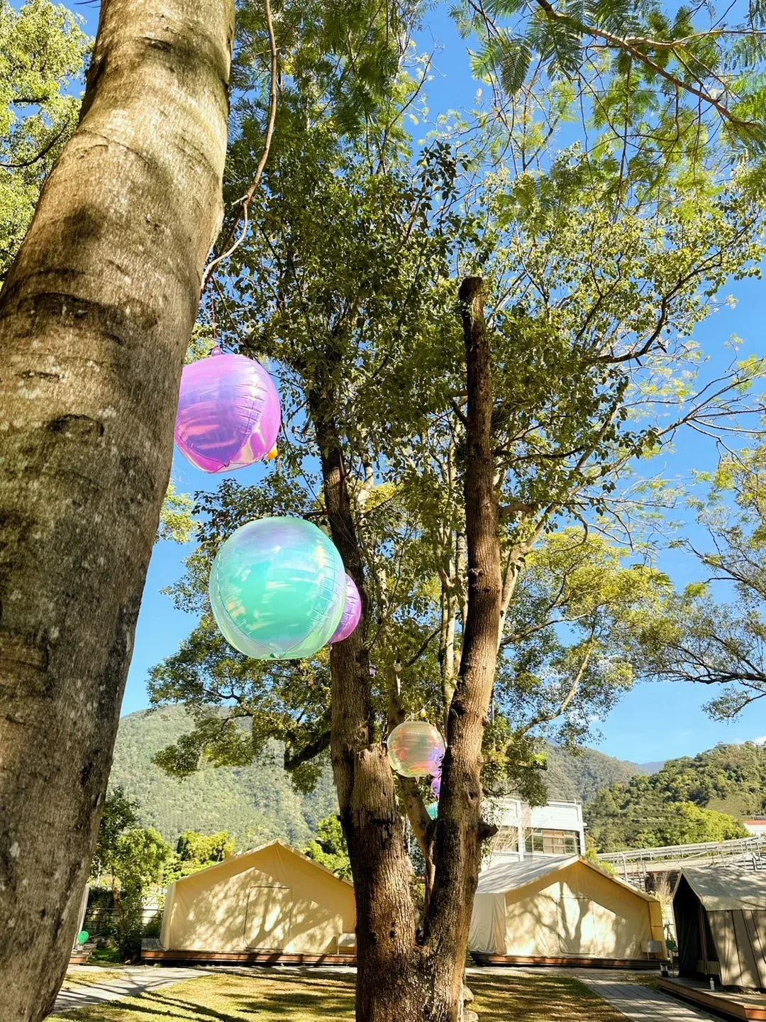 YCC Forest Campsite