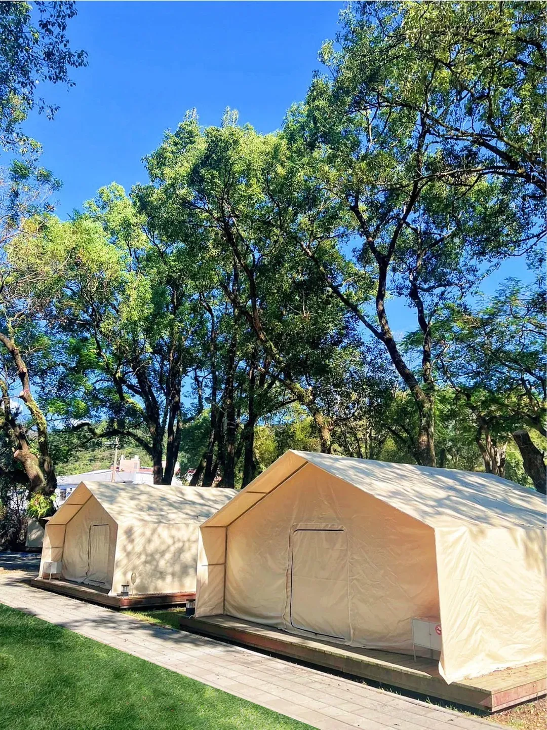 YCC Forest Campsite