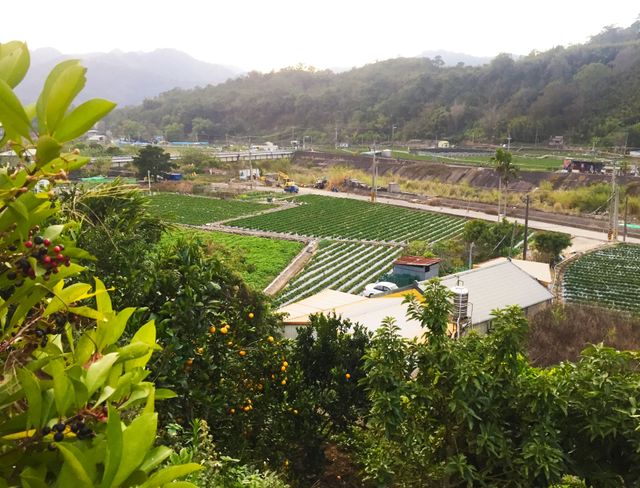 大湖草莓季-社寮角露營區風景