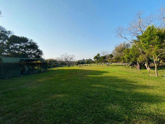 新豐休閒農場｜蒙古包體驗、可愛動物區、一泊二食火烤兩吃-【自搭帳】澳洲茶樹露營區 5M*8M-5