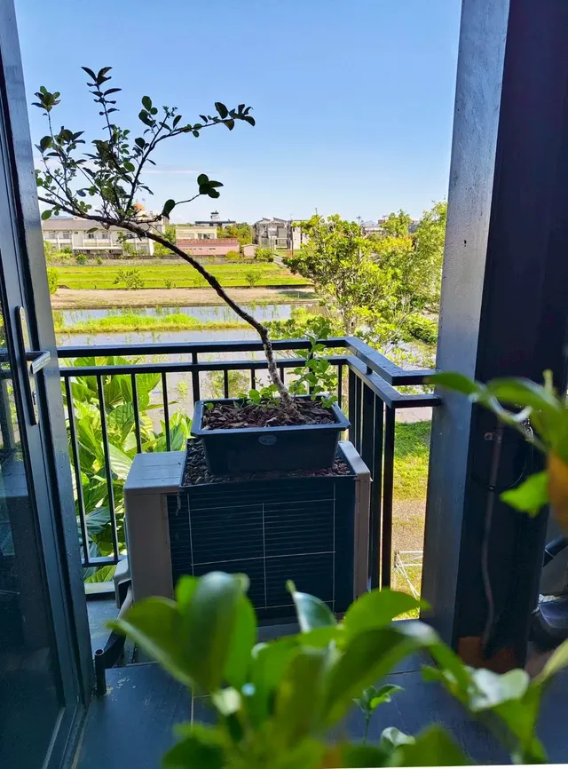 楊春旺建築師行館-mountain view for 4 people-4