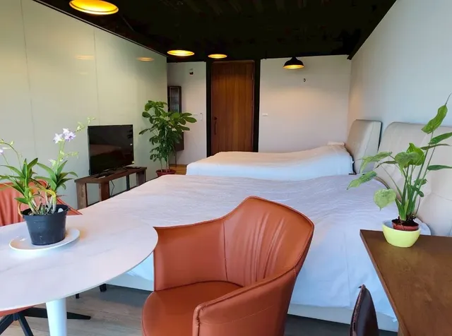 楊春旺建築師行館-mountain view for 4 people-3