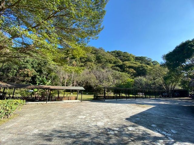 都瑪斯民宿露營區-【自搭帳】遮雨蓬帳位 6M*6M ll 可車宿-1