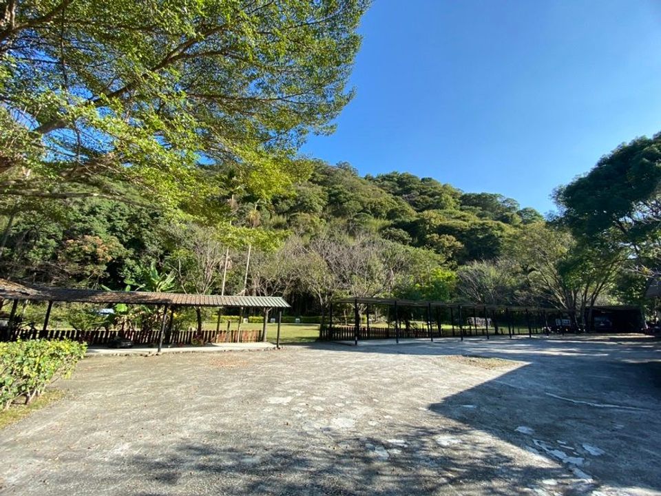 都瑪斯民宿露營區-【自搭帳】遮雨蓬帳位 6M*6M ll 可車宿-1