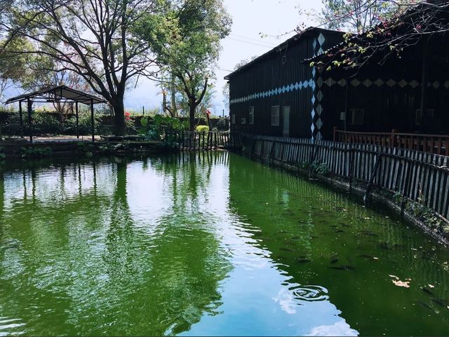 都瑪斯民宿露營區-【自搭帳】草地皮帳位 3M*3M ll 可車宿-6