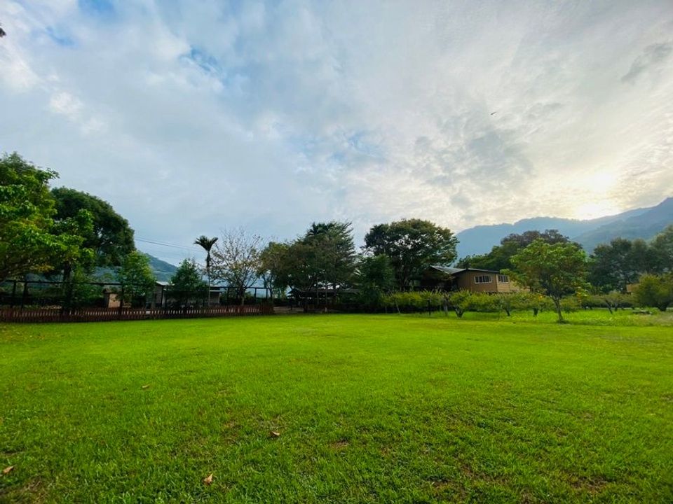 都瑪斯民宿露營區-【自搭帳】草地皮帳位 3M*3M ll 可車宿-1